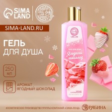 Shower gel, 250 ml, aroma of berry chocolate, Aroma Sound by Ural Lab