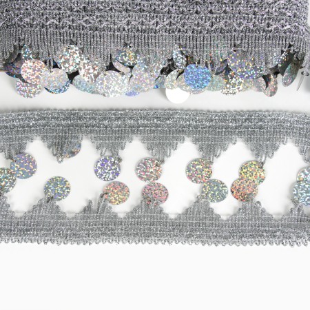 Braid with coins, holography, silver corners, in a roll 20 meters-2