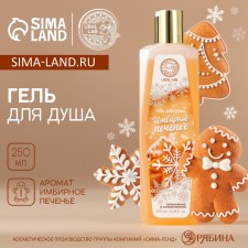 Shower gel, 250 ml, aroma of ginger cookies, Ural Lab