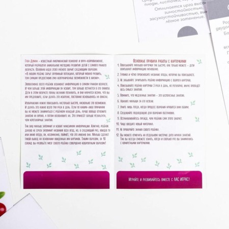 Training cards according to the method of Glen Doman "Berries", 12 cards, A6, in the box-4