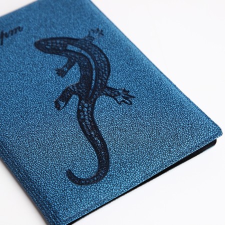 Cover for passport, blue color-3