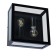 Street ceiling lamp Arte Lamp Belfast A4569PF-2BK, E27, 2x60 W, 29x29x13 cm, black