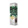Black Black "Triple Krown" 1 pc, tube, spring 2025