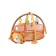 Developing rug Everflo Lion