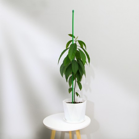 Pegs for garter plants, h = 120 cm, d = 1 cm, metal, green-1