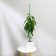 Pegs for garter plants, h = 120 cm, d = 1 cm, metal, green