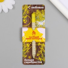 Growing Mini gift pencils with love 