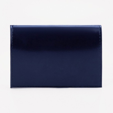 Cover for passport, blue color-1