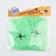 Fun "Green Web", 2 spiders