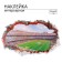 Stick 3D interior stadium 90*60cm