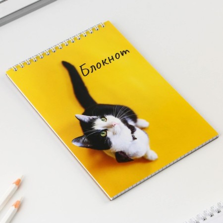 Блокнот А5 на гребне 40 л. «Кот»-1