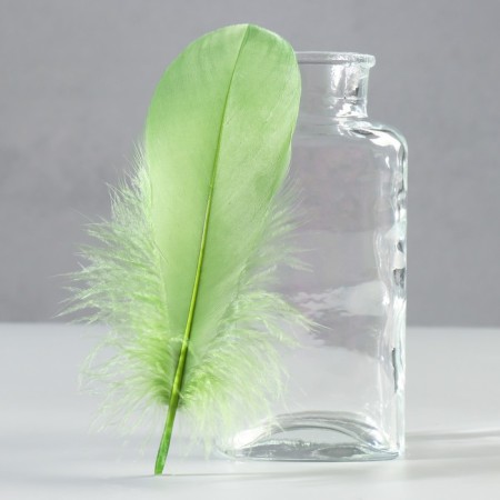 A set of feathers of the goose 13-18 cm, 20 pcs, army green