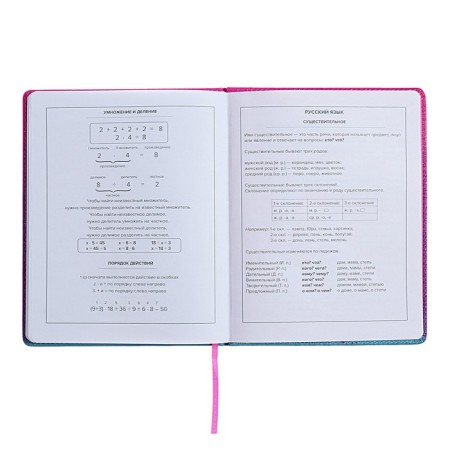 Universal Grade 1-11 Diary, 48 sheets "Chibi", solid cover of artificial leather, lies, universal cheat sheet, block 80 g/m2-10