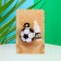 Suspension car football + aromaticoma vanilla 5 ml