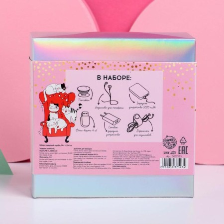 Charger, popcet, headphones, flash drive and plug “Happy Meow Box”, set-17