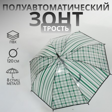 Umbrella - a semiautomatic “cage” cane, 8 spokes, r = 54 cm, the color is transparent/emerald