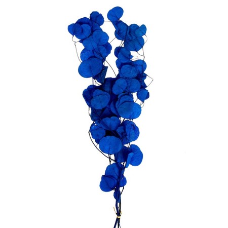 Sukhotzet of peach wood, 50 g, length - 70 cm, blue color-2