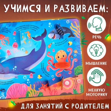 Book with windows "Animal World", 50 windows-3