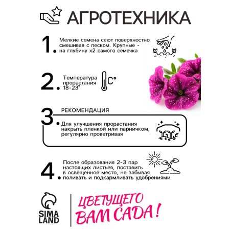 Flowers of Petunia "Violet Leopard", F1, 5 pcs-3