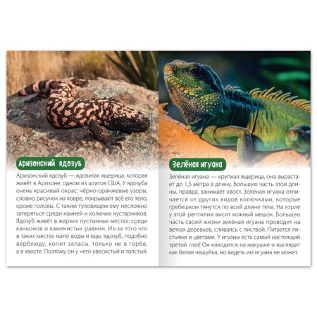 A set of training books “We learn together. Animals of our planet ”, 4 pcs. 20 p.-3