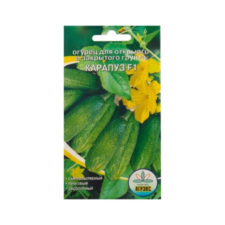 Cucumber seeds "Karapuz", 10 pcs