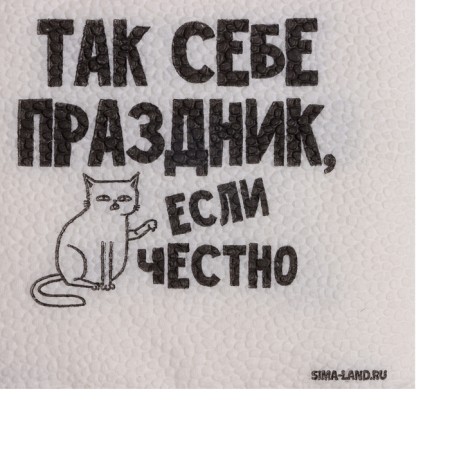Salfets single -layer paper "So -so holiday", 24x24 cm, set of 20 pcs.-5