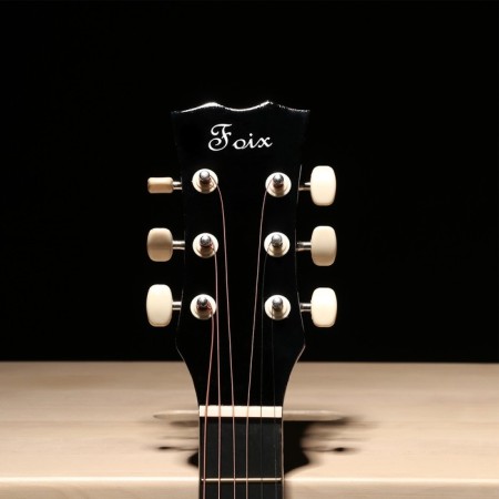 Acoustic guitar Music Life Foix FFG-1038BK-3