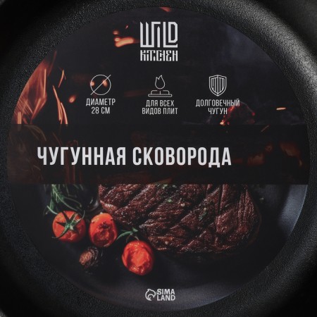 Cast iron pan Wild Kitchen, D = 28 cm, removable handle-4