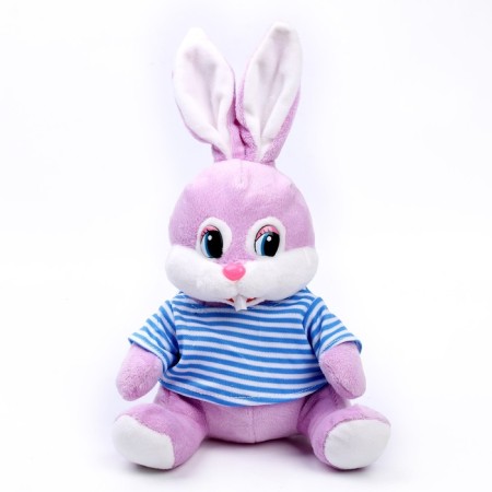 Soft toy "Rabbit in a T -shit", 20 cm
