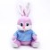 Soft toy "Rabbit in a T -shit", 20 cm