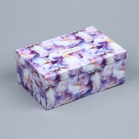 Rectangular gift box, packaging, Pressent, 26 x 17 x 10 cm