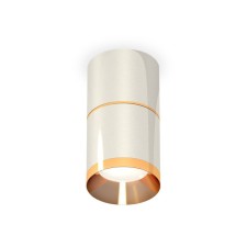Lumber of the overhead Ambrella Light, XS7405061, MR16 GU5.3 LED 10 watts, silver color, yellow gold