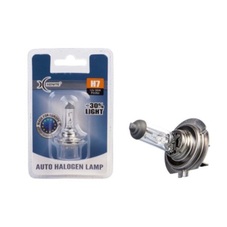 Car lamp Xenite H7 (PX26D) brightness +30%-1