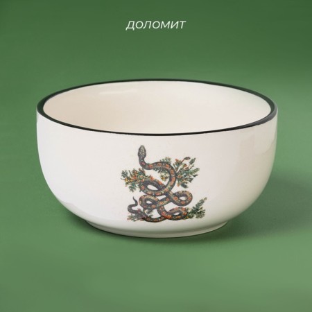 Saladnik New Year's share "Vasilisk", 14 × 14 × 6.8 cm-1