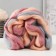 Fasting wool 100% semi -toned wool 50 g melange (23 - 422)