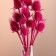 Set of dried flowers "Brush", banch 7-8 pcs, length 50 (+/- 6 cm), fuchsia
