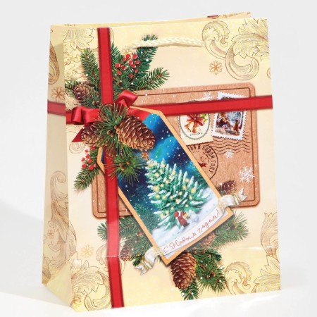 Laminated vertical package “Happy New Year!”, MS 18 x 23 x 8 cm, New Year-3