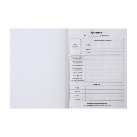 Universal diary for grades 1-11 Horizon, hard cover, selective UV-fluid, matte lamination, cheat sheet, 48 sheets-3