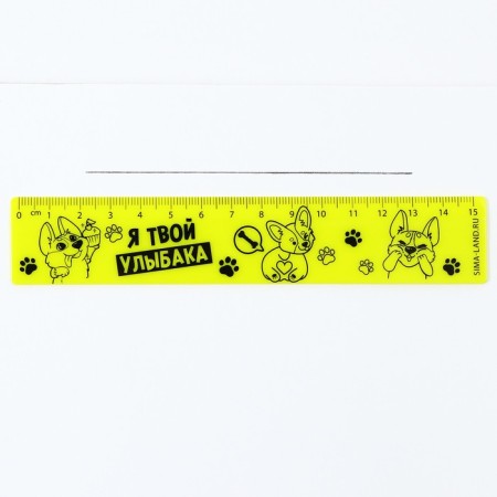 Plastic ruler 15 cm "I am your smile", neon case-1