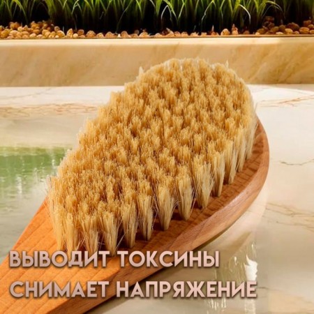 Massage brush with a long handle, natural bristles "Dobroparov" 38.5cm x 8cm x 4.5cm-1