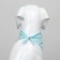 Animal scarf "Happy birthday", 15 x 12 x 1 cm, blue