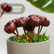 Set of plugs 