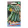 Semen zucchini "Andryushka - Tsukkini", 10 pcs