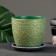 Flower pot "Moire" Green Budo No. 2, 1.3l