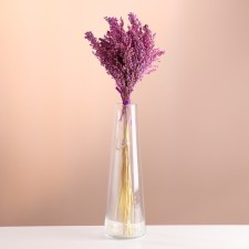 Set of dried flowers 