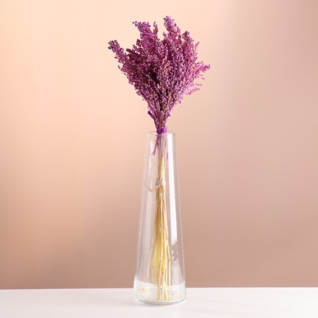 Set of dried flowers "millet", banch length 45 (+/- 6 cm), lilac