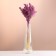 Set of dried flowers "millet", banch length 45 (+/- 6 cm), lilac