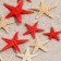 A set of natural sea stars, 1.5 - 2.5 cm, 20 pcs, red - white