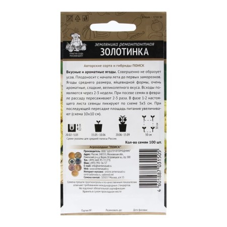 Strawberries repairman "Zolotinka" 100 pcs-1