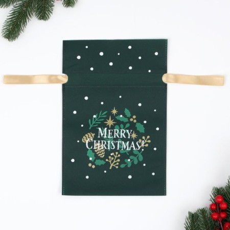 Gift bag "Christmas", 20 x 30 cm-3